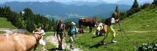 Wandern