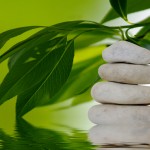 Wellnesstempel in Berlin